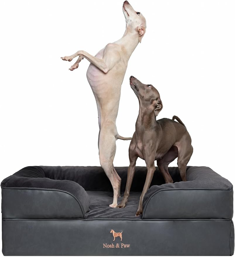 NOAH & PAW Large Dog Bed, 35x25x11 Inch, Orthopedic Dog Beds, Eggshell Memory Foam Infused with Cooling Gel, Inner Cover, Water Resistant, Machine Washable (Faux Leather)