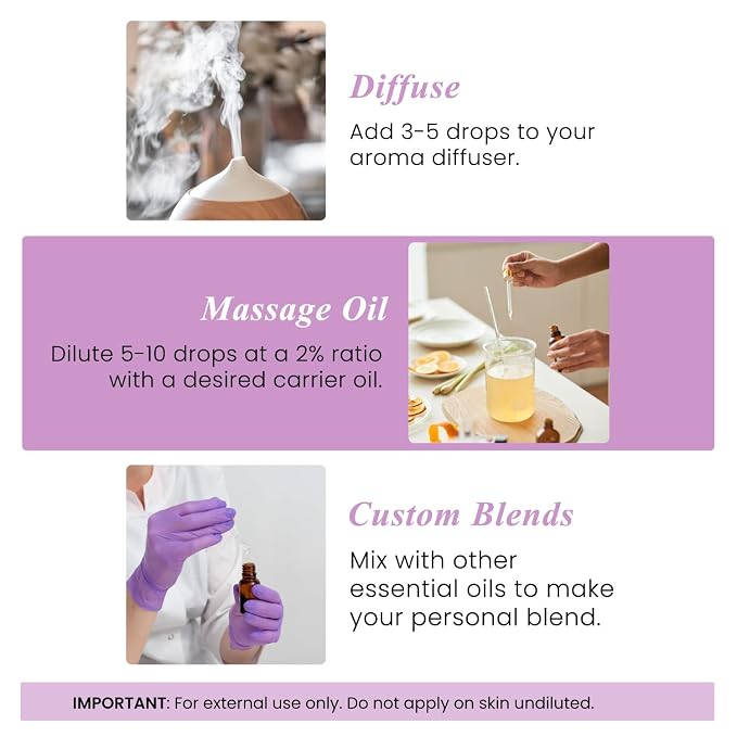 Handcraft Blends Castor Oil for Hair with Lavender Essential Oil and Rosemary Essential Oil Set – 100% Pure & Natural Oils – Carrier Oil for Essential Oils Mixing, Aromatherapy Oils & Massage