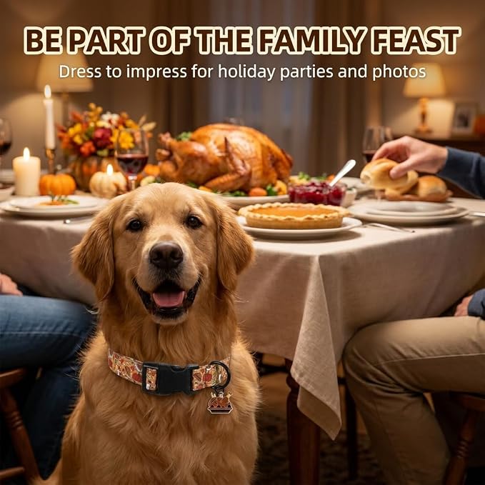 Fall Dog Collar, Thanksgiving Dog Collar for Small Dog, S