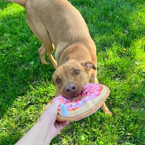 Doggijuana Pink Donut & Juananip Bundle | Squeaky Refillable Plush Toy