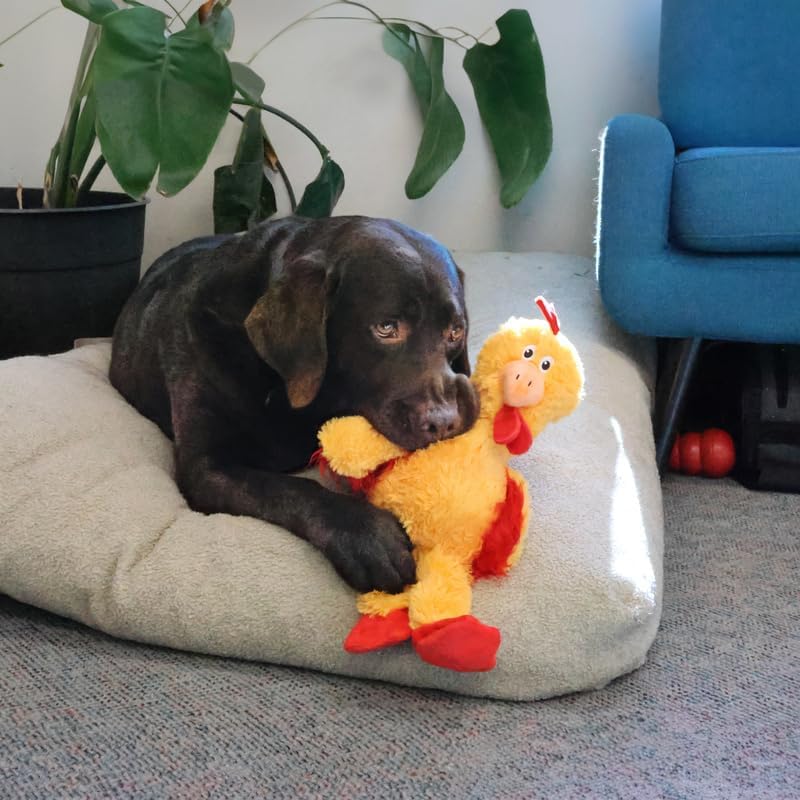 KONG Knots Chicken Dog Toy – Internal Knotted Rope & Dual Squeakers – Durable Plush with Minimal Stuffing, Indoor/Outdoor Chew & Tug Toy (Small)