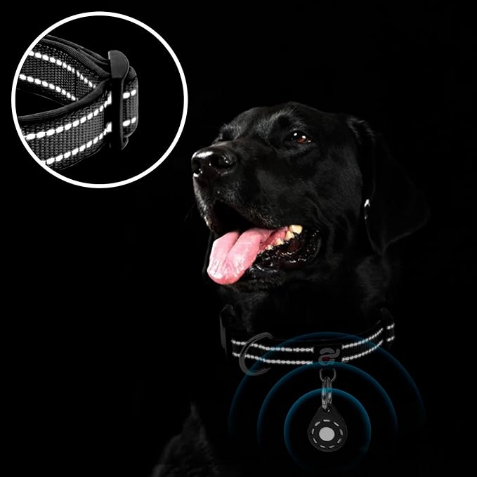 azuza Airtag Dog Collar, Large Dog Collar with Airtag Holder, Black, L