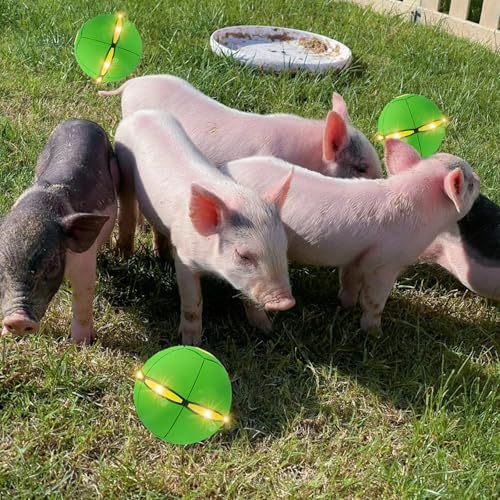 Pig Toy - Toy for Pigs, Interactive Pig Flying Saucer Disc Ball Toys with 6 Lights for Mini Pigs, Enrichment Play for Pet Pigs Supplies Enjoyment and Fun-Green