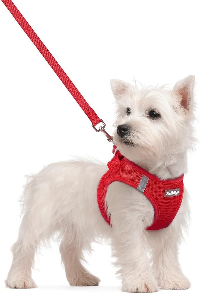 rabbitgoo Dog Harness Small Sized and Leash Set, Step-in Puppy Pet Vest | Light, Soft, Breathable Air Mesh, Easy on and Remove with Hook & Loop, Secure Reflective for Walking, Red S