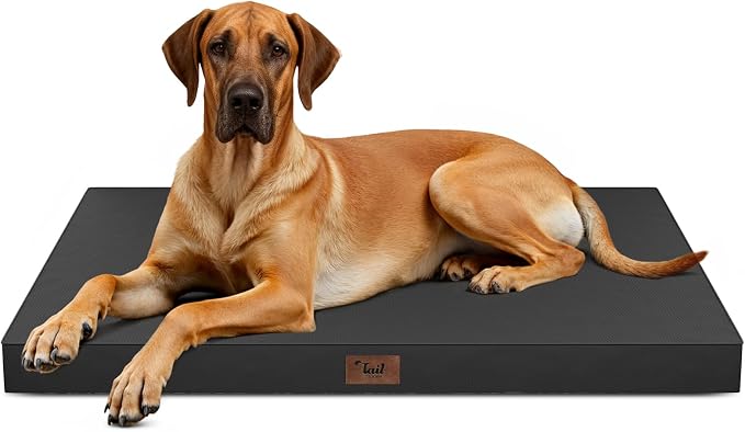 Jumbo Waterproof Orthopedic Dog Bed for Extra Large Dogs | Egg Crate Foam, Pressure Relief, Fits 54x37 Crates, Machine Washable 1680D Oxford Cover, Indoor & Outdoor Use, Up to 150 lbs