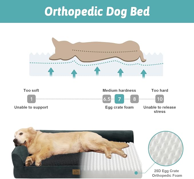 COZY KISS Orthopedic Dog Bed for Medium Small Size Dogs, L Shaped 30x20 in | Non-Slip Bottom Soft Pet Sofa with Washable Removable Waterproof Cover, Egg-Crate Foam Couch with Portable Handle, Black