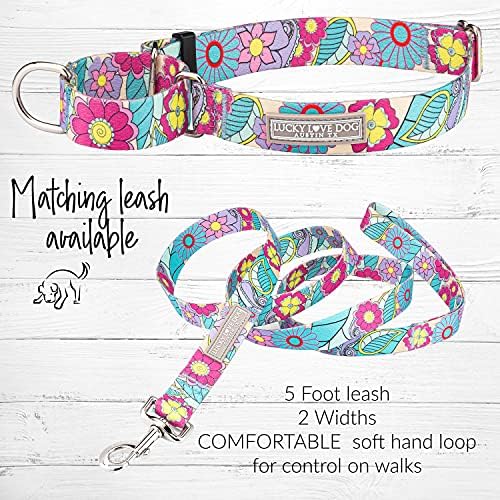 Lucky Love Dog Martingale Collar for Large Dogs No Slip – Caroline, Large