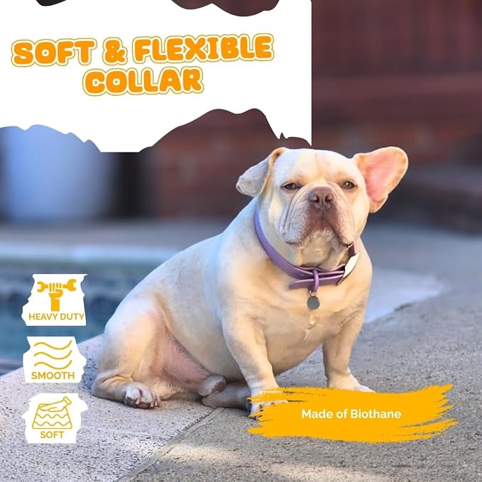 Waterproof Dog Collar, Soft Comfortable Pet Collars, Adjustable Odor Proof Heavy Duty Dog Collars Easy to Clean for Large, Medium Small Dogs by Bee N Buu (Purple, Large (length15.5-19.5", Width 1"))