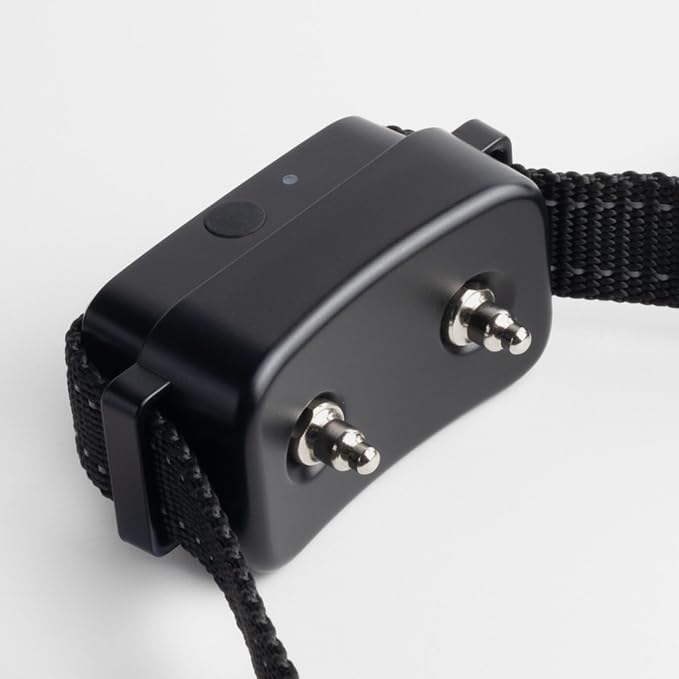 Dog Training Collar to Stop Dog from Pulling on Walks, Remote-Free (MED)