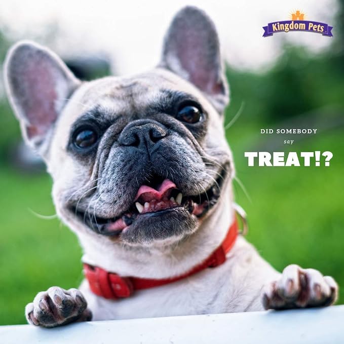 Filler Free Chicken Jerky & Sweet Potato Twists, Premium Treats for Dogs, 48-ounce bag