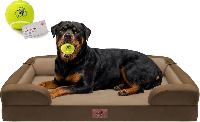 Waterproof Orthopedic Dog Bed for Extra Large Sized Dogs | Memory Foam Pet Bed Sofa with Bolster, Dog Couch with Washable Cover & Non-Slip Bottom, 45x35 Inch, Dark Brown