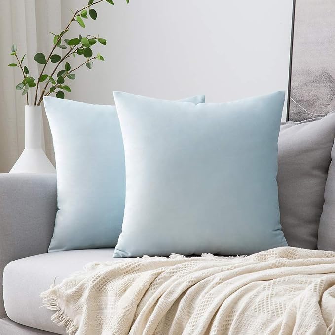 MIULEE Velvet Throw Pillow Covers 16x16 Inch Pack of 2 Light Blue | Soft Solid Small Decorative Pillow Covers, Modern Luxury Home Decor, for Couch Chair Sofa Bedroom Livingroom Car