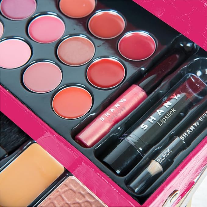SHANY All In One Makeup Set, 67 Colors Eyeshadow, Blushes, Face Powder, Lipstick, Eye liners, Make up Pencils and Cosmetics Mirror - Makeup Kit With Reusable Beauty Organizer Train Case - Pink