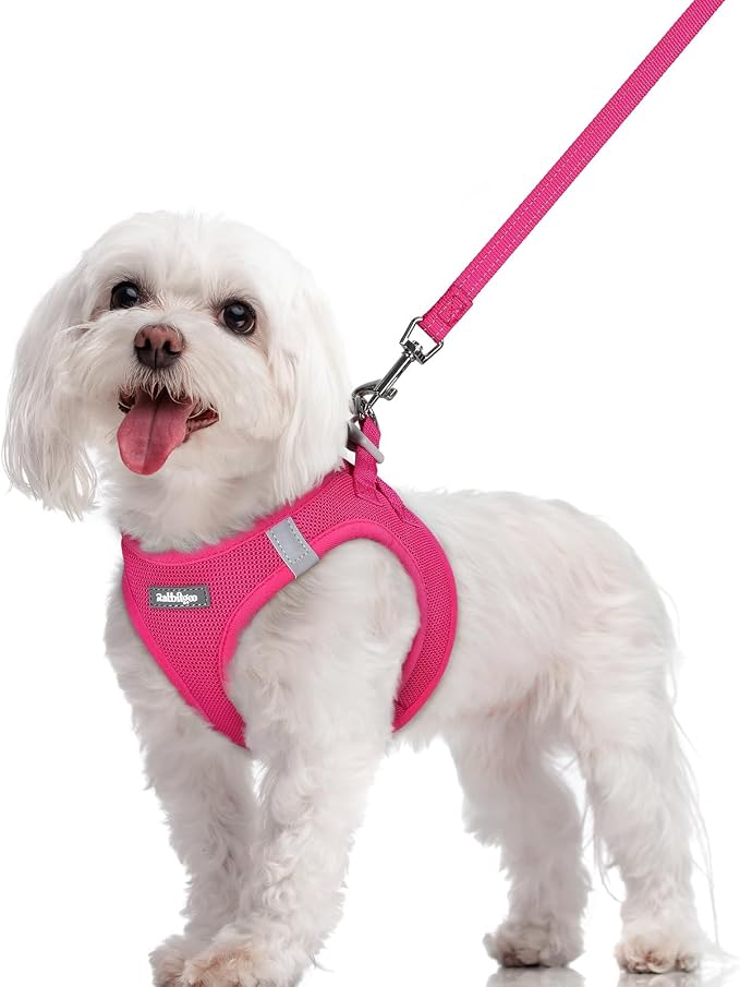 rabbitgoo Dog Harness Small Sized and Leash Set, Step-in Puppy Pet Vest | Light, Soft, Breathable Air Mesh, Easy on and Remove with Hook & Loop, Secure Reflective for Walking, Rose Red M