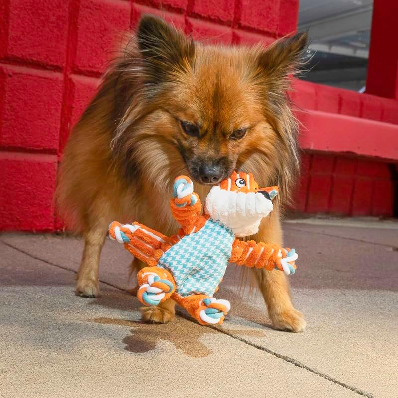 KONG Floppy Knots Dog Toy Bundle for Small/Medium Dogs – Durable Plush Toys with Internal Knotted Ropes & Squeakers – Minimal Stuffing for Less Mess (Bunny and Fox, Small/Medium)