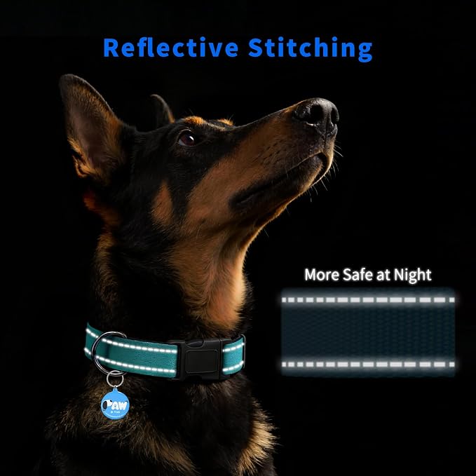 Personalized Dog Collar with QR Code Tag, Medium, Mint Green | Reflective Dog Collar with Smart Custom ID Tag, Dog Collars for Medium Dogs