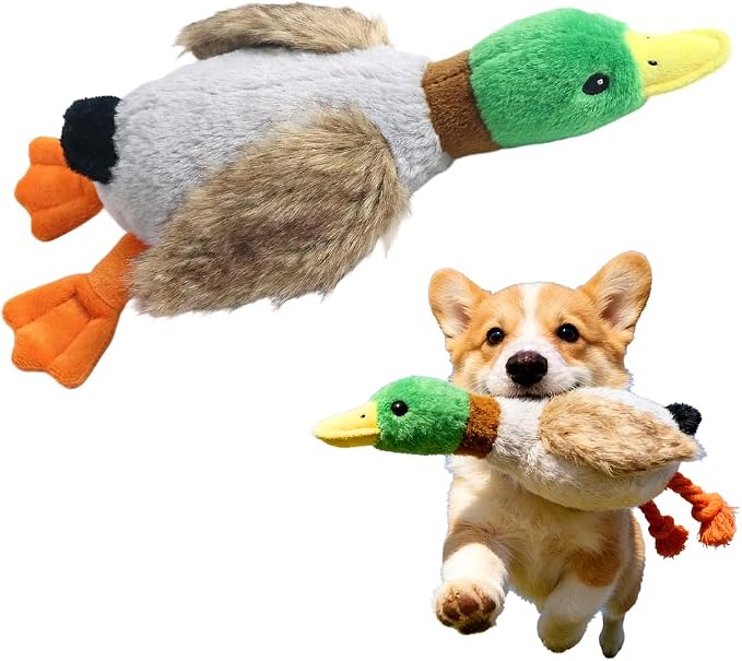 Indestructible Dog Toy for Aggressive Chewers, Durable Stuffed Squeaky Dog Toys for Small Medium Large Dogs, Interactive Chew Teething Puppy Toy for Indoor Outdoor Play (Natural Green 2)