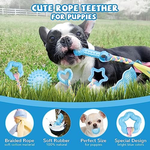 ABRRLO 6 Pack Puppy Teething Toys Cute Blue Puppy Chew Toys for Teething Small Breed Dog Chew Toy Interactive Pet Toy Set for Puppies to Keep Them Busy Soft Durable Small Breed Doggy Chewing Ball