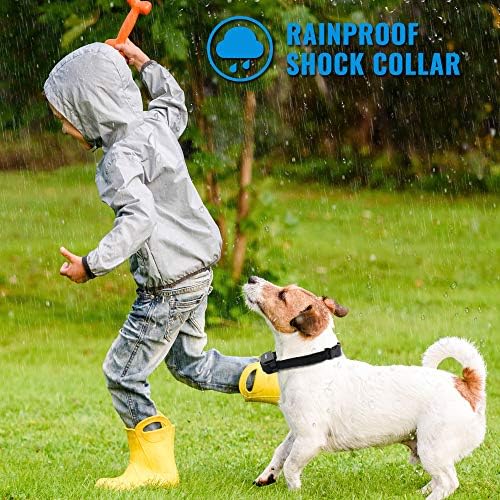 Petrainer PET998DRB1 Dog Training Collar Rechargeable and Rainproof 330 yd Remote Dog Training Collar with Beep, Vibra and Static Electronic Collar, black