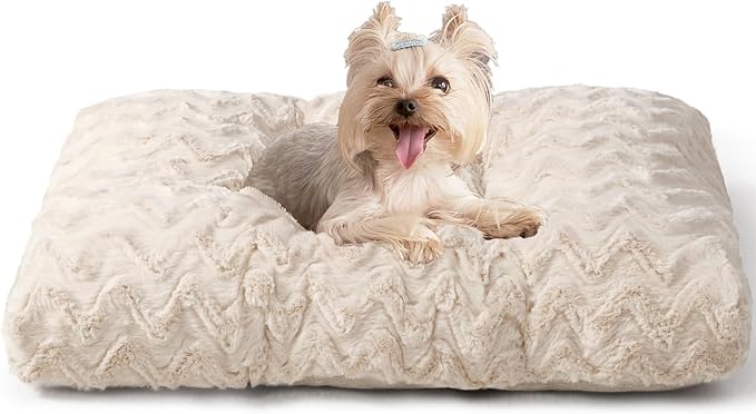 EHEYCIGA Washable Dog Beds for Small Dogs, 23x18 Inch Pet Bed, Beige | Plush and Comfy Kennel Pad, Soft Dog Crate Mat, Deluxe Sleeping Mattress for Puppy Up to 25 lbs
