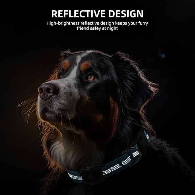 Upgrade Dog Collar with AirTag Holder, IP68 Waterproof, Blue, S | Built-in Water Resistant AirTag holder, 1000D Nylon, Reflective Stitching for Night Visibility, Soft padding for Comfort