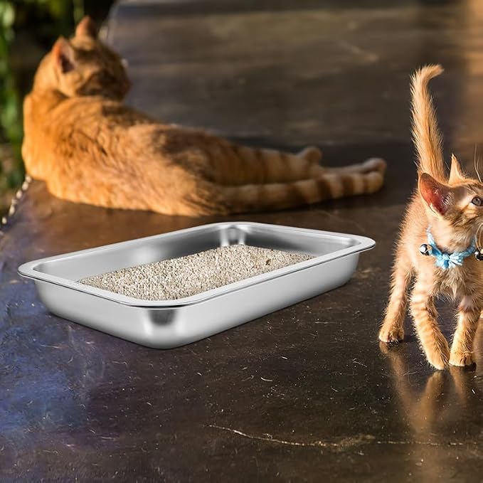 INOOMP Stainless Steel Cat Litter Box Open Design Large Metal Litter Pan Easy to Clean Portable Kitten Tray for Cats and Small Pets