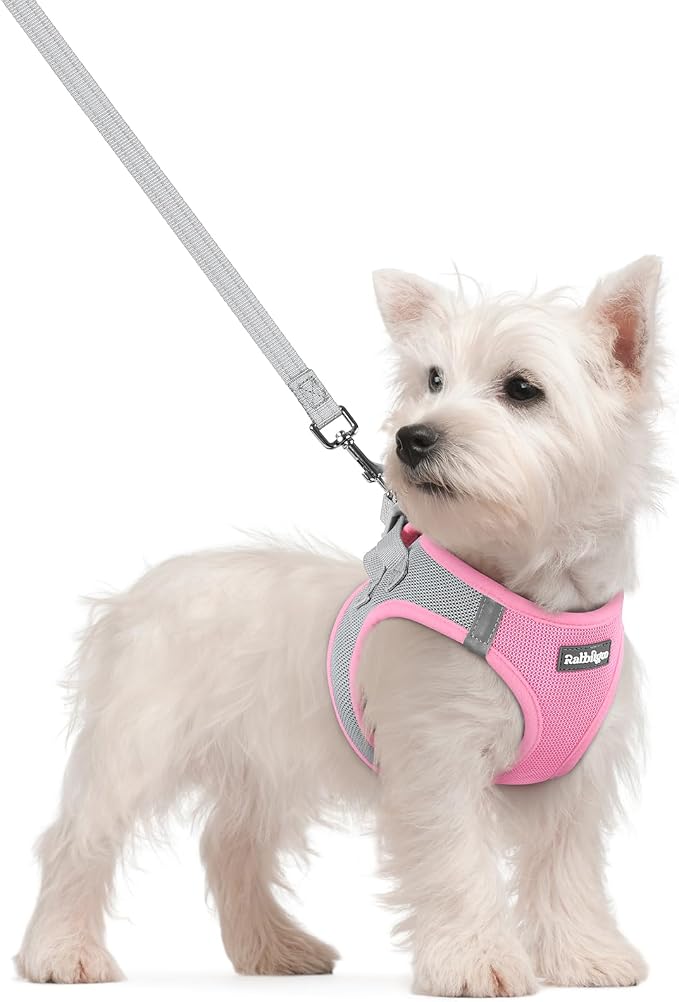 rabbitgoo Dog Harness Small Sized and Leash Set, Step-in Puppy Pet Vest | Light, Soft, Breathable Air Mesh, Easy on and Remove with Hook & Loop, Secure Reflective for Walking, Light Pink & Gray S