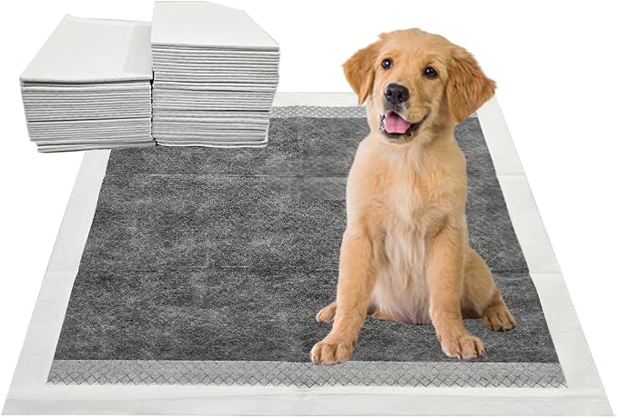 Puppy Pee Pads, 22 x 22 Inch 100 Count, Charcoal Dog Wee Wee Training Pads, Leak-Proof Quick Absorb 6-Layer Design for Pet Potty Training, Ideal for Small Puppies, Cats, Rabbits, Guinea Pigs