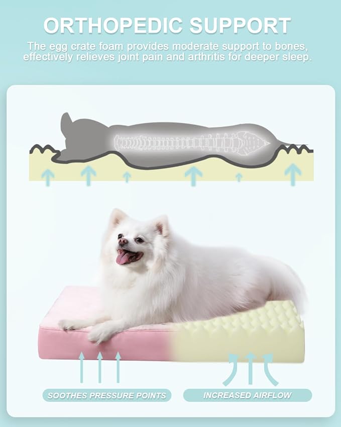 KSIIA Orthopedic Dog Bed for Small Dogs with Waterproof Lining, Pink, 23x17 | Deluxe Soft Plush Dog Crate Bed, Washable Pet Mat with Removable Cover & Egg Crate Foam for Small Dogs Sleeping & Relaxing