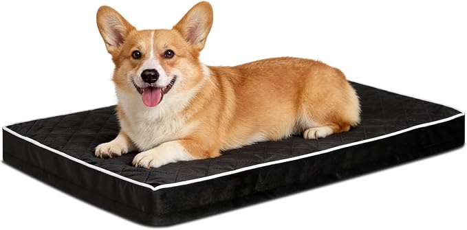 NUPIDA Orthopedic Large Dog Bed for Crate with Washable Cover, 35x22, Black | Egg-Crate Foam, Cozy Velvet Pet Mattress, TPU Waterproof Layer, Flat Kennel Pad, Comfy Support, Non-Slip Bottom