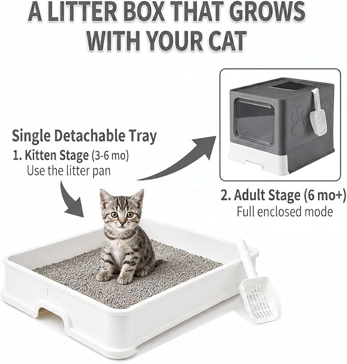 Medario Cat Litter Box with X-Large Litter Mat and Scoop(Upgrade Dark Grey) | Large Covered Litter Box with Lid, Enclosed Kitty Box,Front Top Entry Exit, Odor Control Easy to Clean