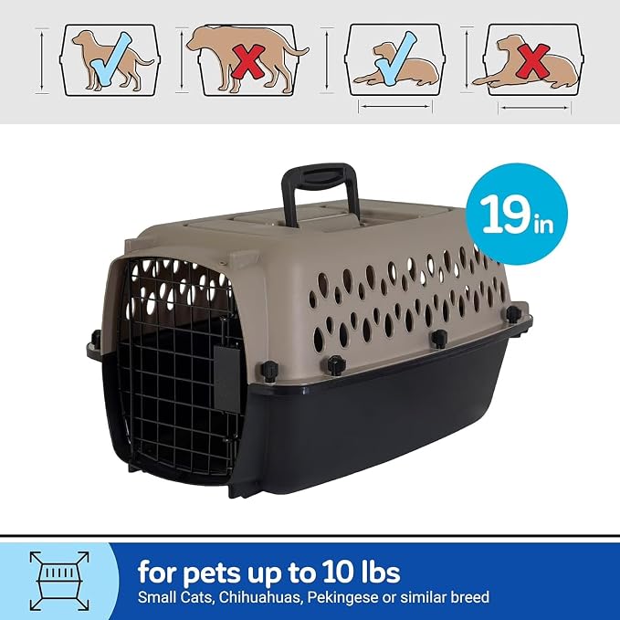 Hard-Sided Cat Carrier & Dog Crate - Pet Carrier Metal Door, Travel Cat Cage & Dog Carrier, Large Cat Carrier Alternative, for Pets ≤10 lbs, 19" Lx12.3 Wx10.8 H, Black/Grey