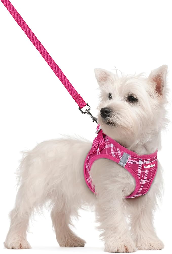 rabbitgoo Dog Harness Small Sized and Leash Set, Step-in Puppy Pet Vest | Light, Soft, Breathable Air Mesh, Easy on and Remove with Hook & Loop, Secure Reflective for Walking, Rose Red Plaid S