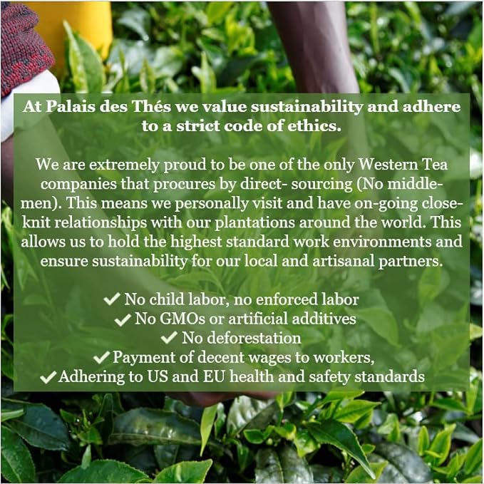 Palais des Thés Caffeine-Free Tea - L'Herboriste N∞95 Organic Energy Herbal Blend with Lemongrass, Ginger & Carrot - Premium Tea Bags, Serves 20 Cups