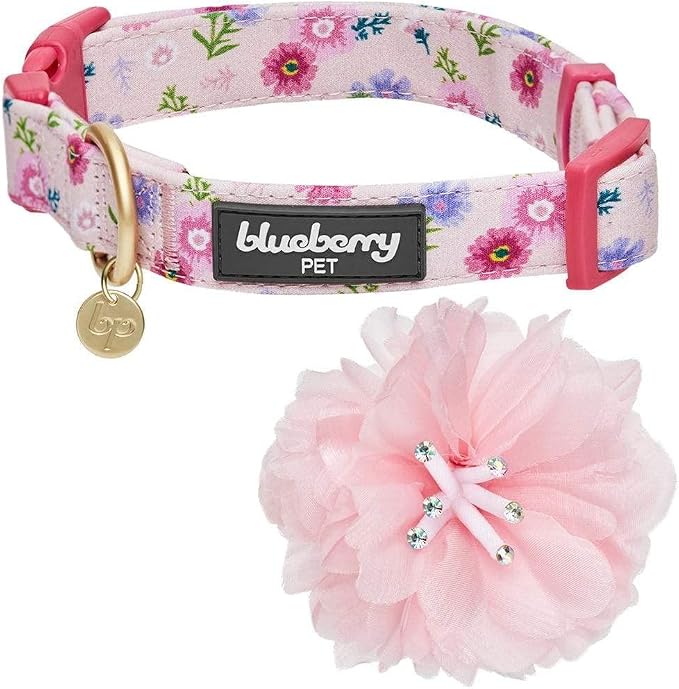 Blueberry Pet Floral Power Cosmos Designer Pink Adjustable Dog Collar with Detachable Pink Peony, Small, Neck 12"-16"