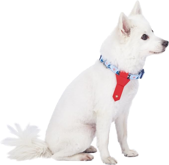 Blueberry Pet 4 Patterns Light Blue Starry Sailboat Designer Adjustable Tie Dog Collar, Small, Neck 12"-16"