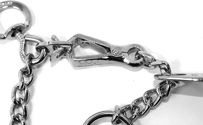 Herm Sprenger Chrome Plated Steel Training Prong Collar with Quick Release Snap for Dogs, Small, 2.25mm, 16-Inch (Neck Size up to 12-13 inches)