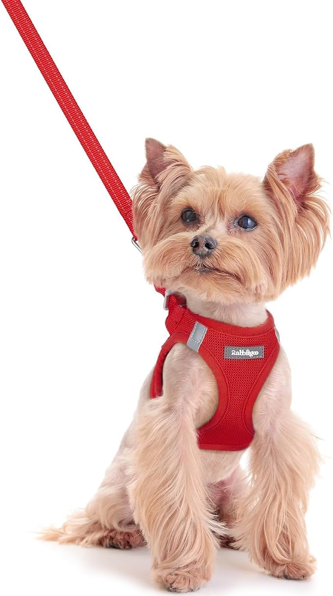 rabbitgoo Dog Harness Small Sized and Leash Set, Step-in Puppy Pet Vest | Light, Soft, Breathable Air Mesh, Easy on and Remove with Hook & Loop, Secure Reflective for Walking, Red XXS