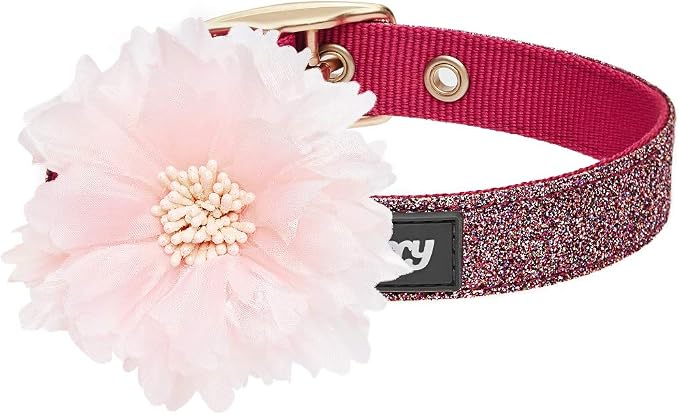 Blueberry Pet The Most Coveted Holo Glitter Dog Collar with Flower