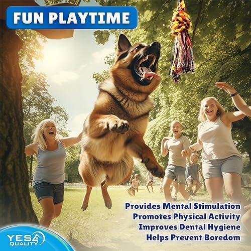 YES4QUALITY Dog Outdoor Bungee Hanging Toy, Blue Interactive Tree Tug Toy Rope w/Metal Spring Kit & 2 Rope Toys, Heavy-Duty Exercise Equipment for Medium & Large Dogs, Tether Tug of War Dog Toys