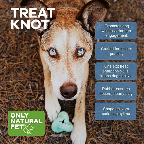 Only Natural Pet Rubber Boredom Buster Treat Stuffer Dog Toys - Interactive Stuffable Feeder Dispenser Fillable Durable Play Puppy Medium Large XS Chew Pup Hide Holder Easy Refill -TreatKnot/Teal