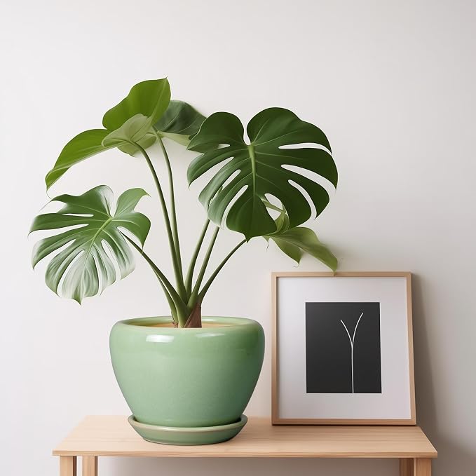 Ceramicfor 6 Inch Plant Pot - Ceramic Planter for Indoor Plants Round Planter Outdoor Plant Pot with Drainage Hole and Saucer Modern Flower Pot for Succulent Garden Green