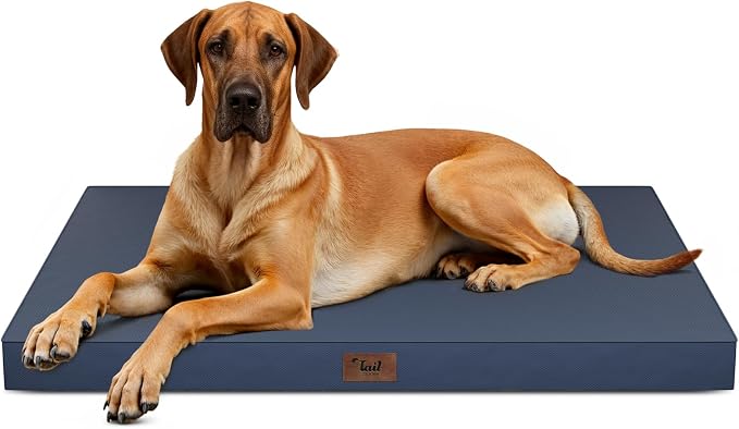 Jumbo Waterproof Orthopedic Dog Bed for Extra Large Dogs | Egg Crate Foam, Pressure Relief, Fits 54x37 Crates, Machine Washable 1680D Oxford Cover, Indoor & Outdoor Use, Up to 150 lbs