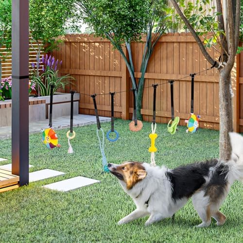ZooZoo Puppy Play Gym, 8 Hanging Toys, Small Dogs, Teething, Adjustable