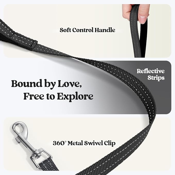 rabbitgoo Dog Harness Small Sized and Leash Set, Step-in Puppy Pet Vest | Light, Soft, Breathable Air Mesh, Easy on and Remove with Hook & Loop, Secure Reflective for Walking, Black Zigzag XS
