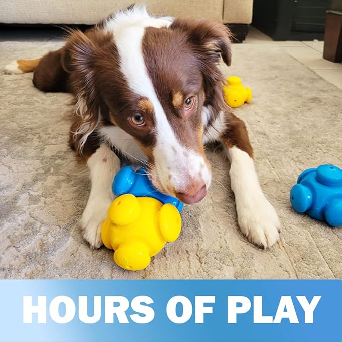 Dog Puzzle Toys for Smart Dogs, Interactive, Treat Puzzle, Enrichment