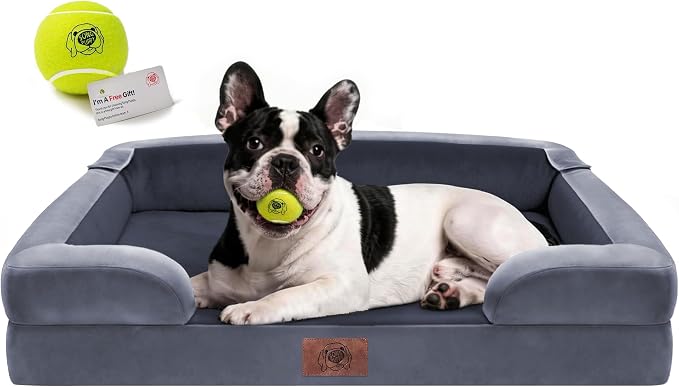 Waterproof Orthopedic Dog Bed for Medium Large Sized Dogs | Memory Foam Pet Bed Sofa with Bolster, Dog Couch with Washable Cover & Non-Slip Bottom, 30x20 Inch, Dark grey