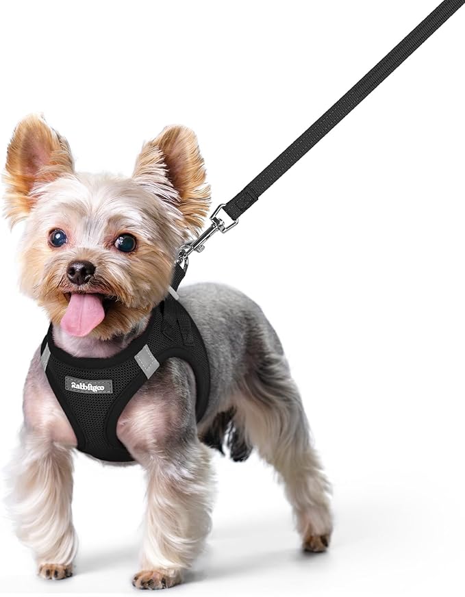 rabbitgoo Dog Harness Small Sized and Leash Set, Step-in Puppy Pet Vest | Light, Soft, Breathable Air Mesh, Easy on and Remove with Hook & Loop, Secure Reflective for Walking, Black XS