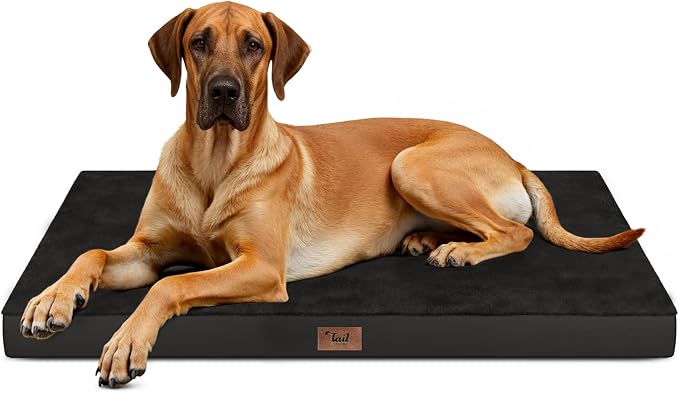 Jumbo Waterproof Orthopedic Dog Bed for Extra Large Dogs | Egg Crate Foam, Pressure Relief, Fits 54x37 Crates, Machine Washable 1680D Oxford Cover, Indoor & Outdoor Use, Up to 150 lbs