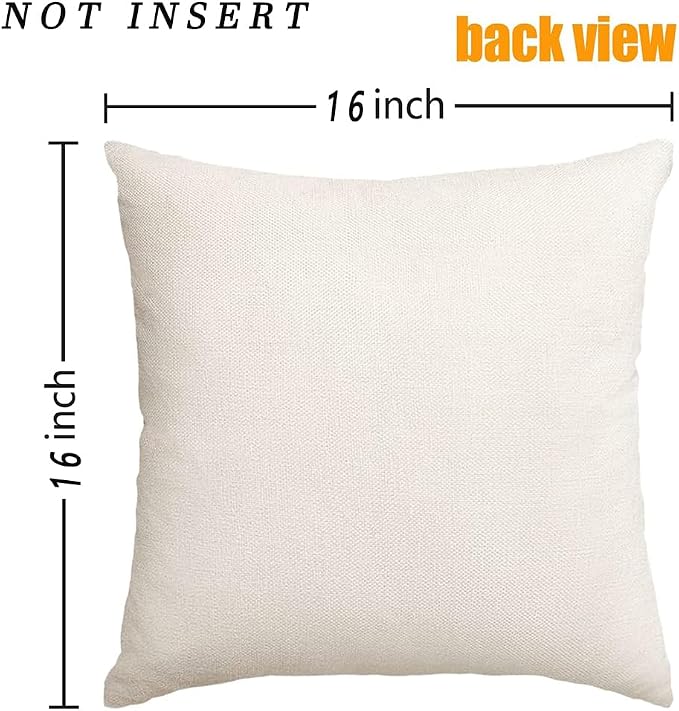 RABUSOA Birds Pillow Covers 16x16 Inch,Lumbar Decorative Throw Pillows,Spring Summer Hand-Painted Outdoor Pillowcases Cushion Covers for Couch